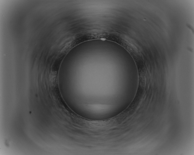 X0000092110034200709121626