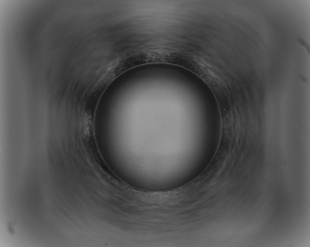 X0000092110038200709121626