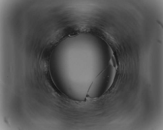 X0000092110039200709121626