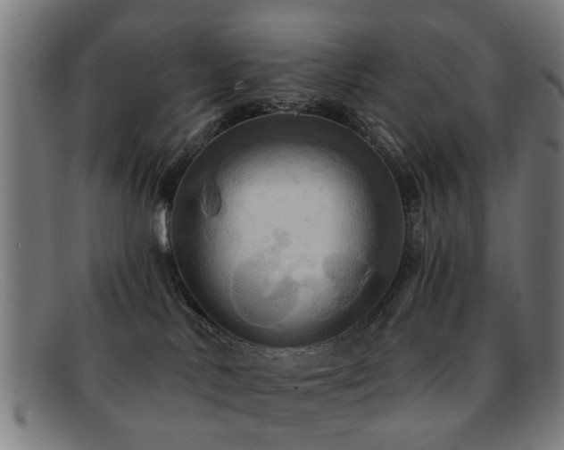 X0000092110042200709121626