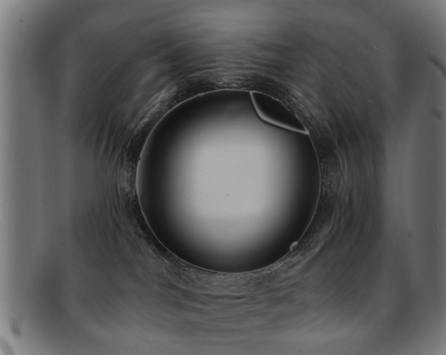 X0000092110044200709121626