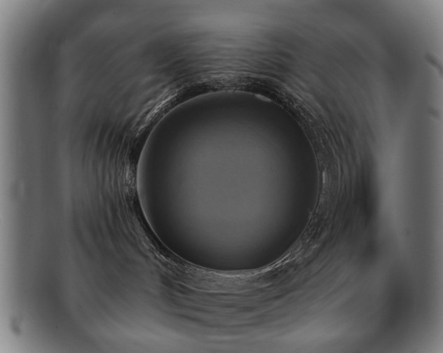 X0000092110048200709121626