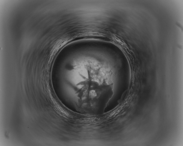 X0000092110049200709121625