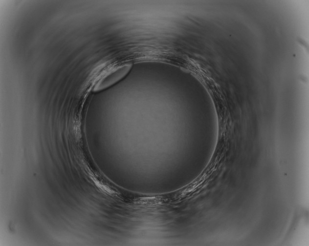 X0000092110050200709121625