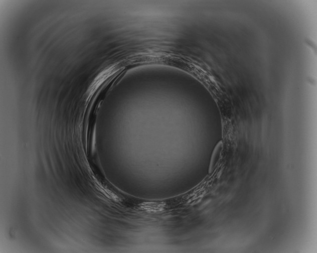 X0000092110051200709121625