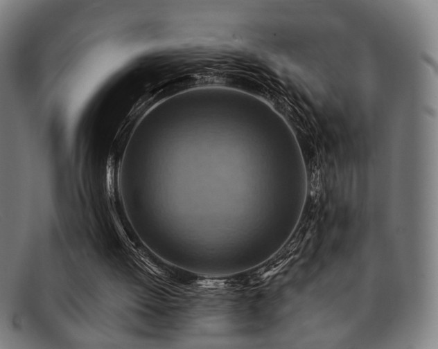 X0000092110052200709121625