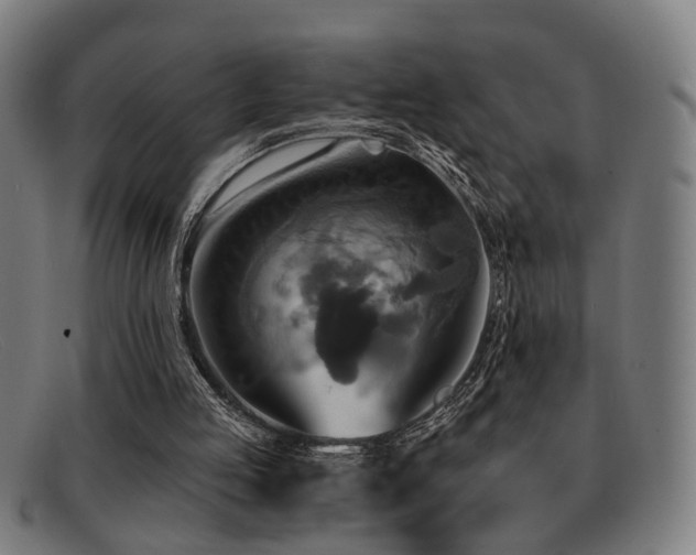 X0000092110053200709121625