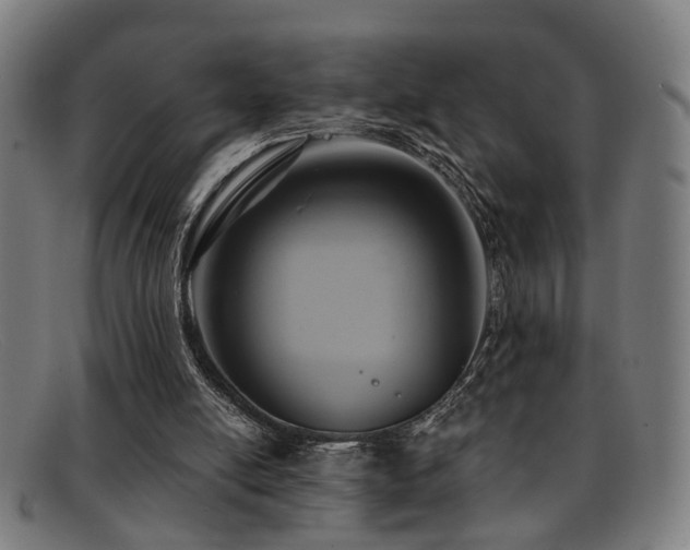 X0000092110054200709121625