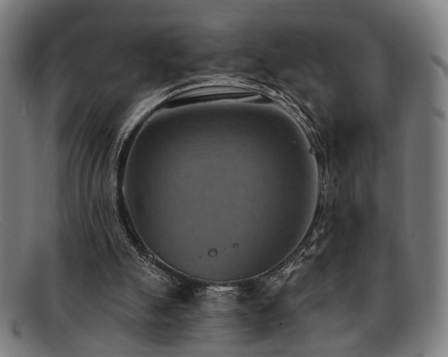 X0000092110055200709121626