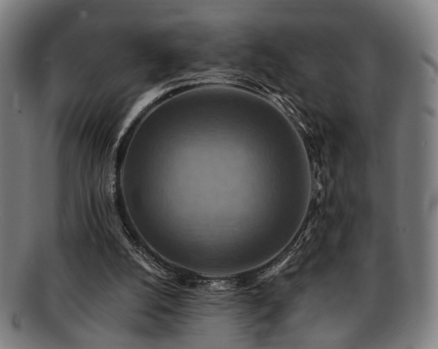 X0000092110056200709121626