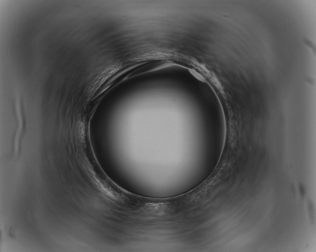 X0000092110057200709121626