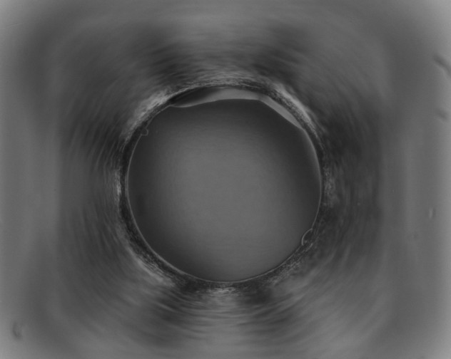 X0000092110059200709121626