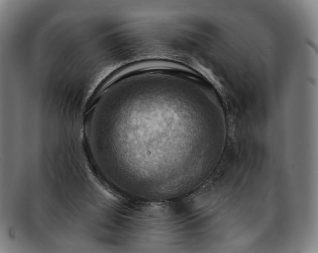 X0000092110060200709121626