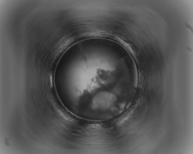 X0000092110061200709121626