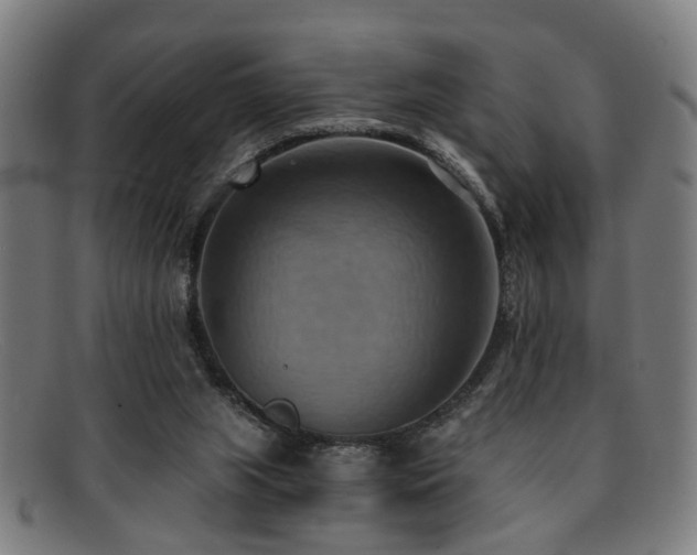 X0000092110063200709121626