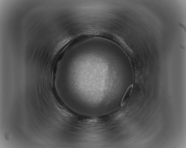 X0000092110068200709121626