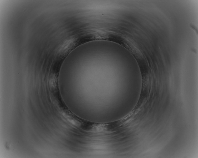 X0000092110078200709121626