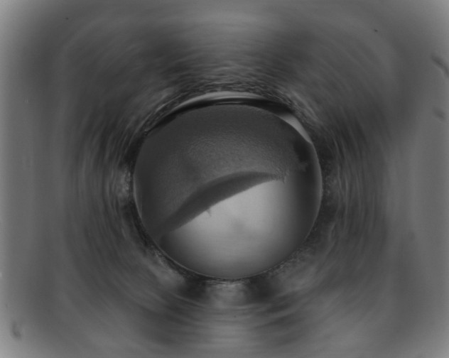 X0000092110081200709121626