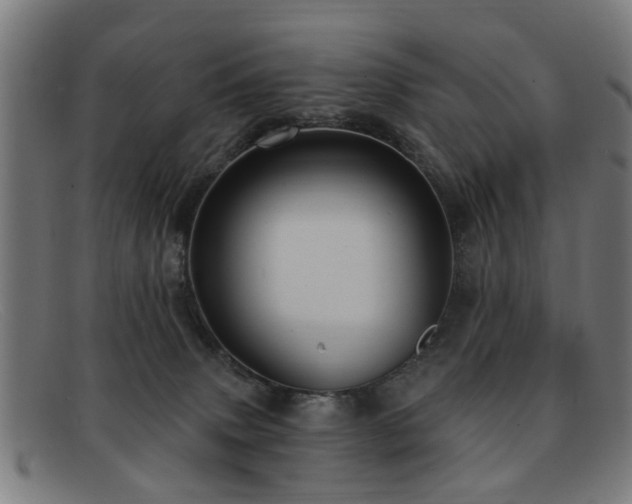 X0000092110083200709121626