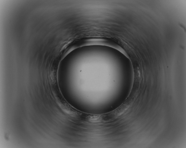 X0000092110088200709121626