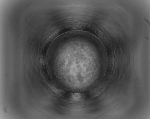 X0000092110091200709121626