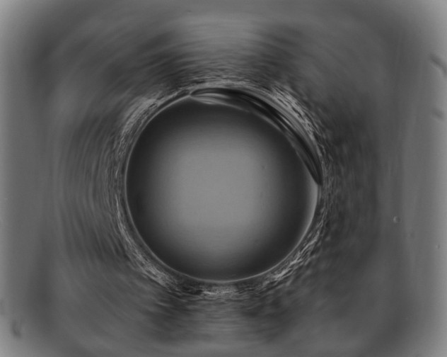 X0000092110097200709121625