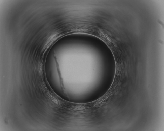 X0000092110098200709121625