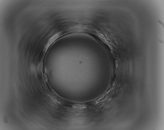 X0000092110099200709121625