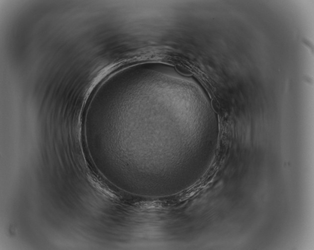 X0000092110100200709121625