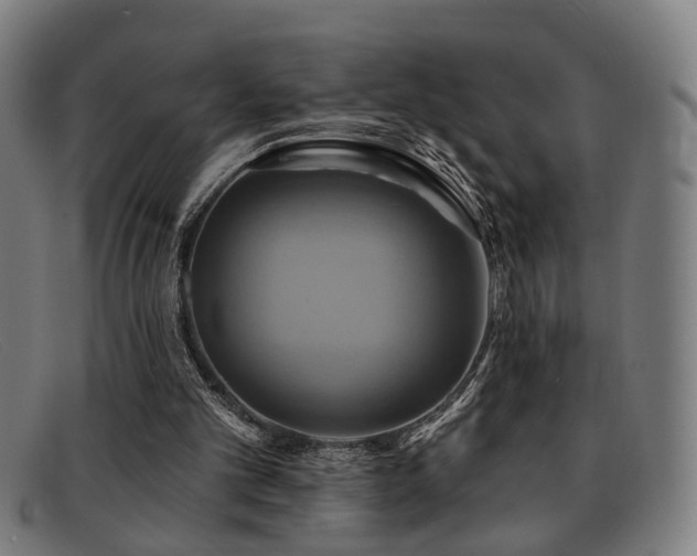 X0000092110101200709121625