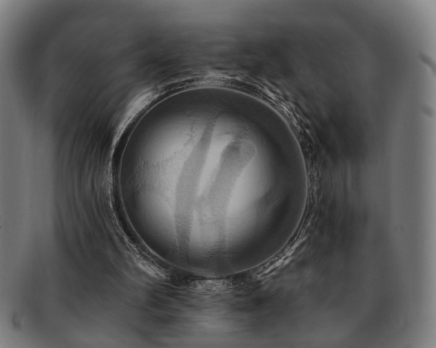 X0000092110102200709121625