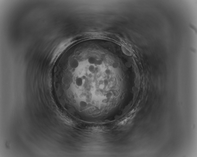 X0000092110103200709121625