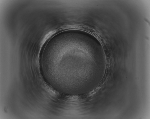 X0000092110104200709121625