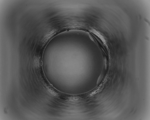 X0000092110105200709121625