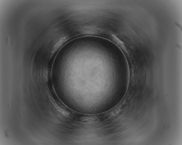 X0000092110106200709121625