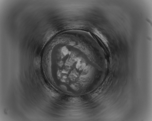 X0000092110107200709121625