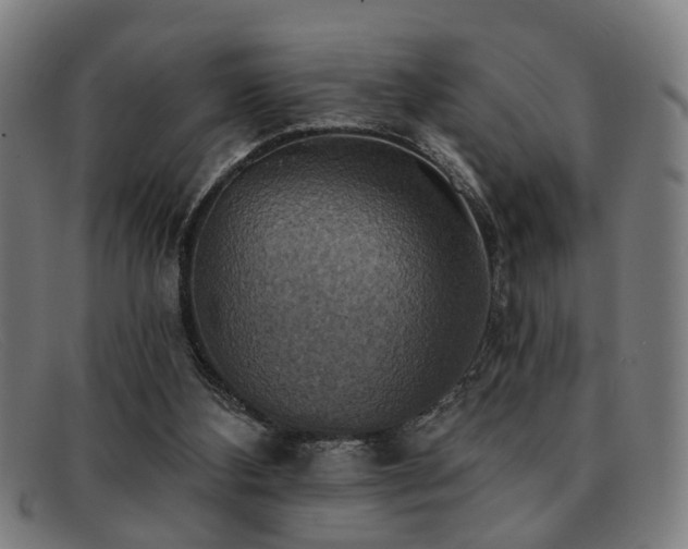 X0000092110108200709121625