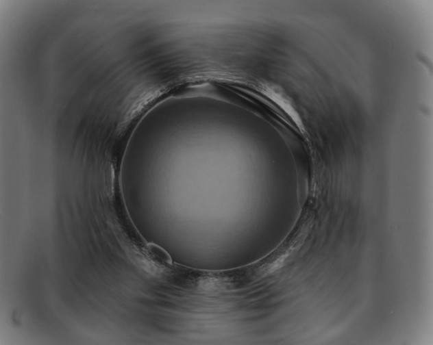 X0000092110109200709121625