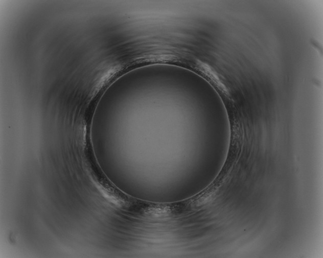 X0000092110110200709121625