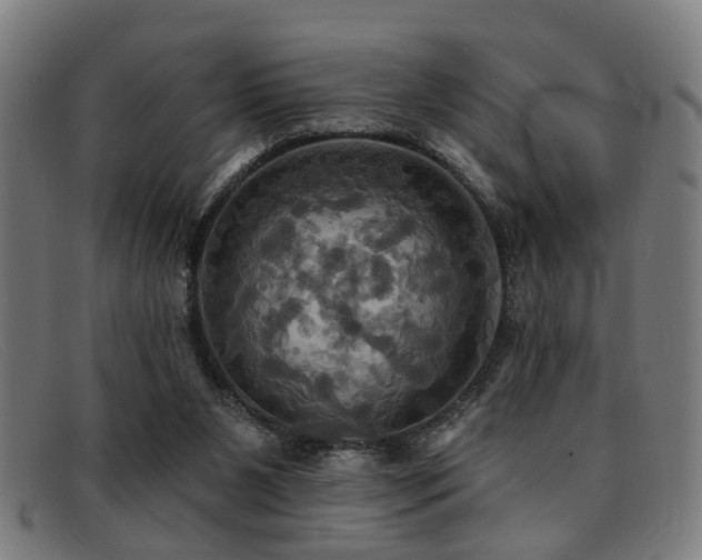 X0000092110111200709121625