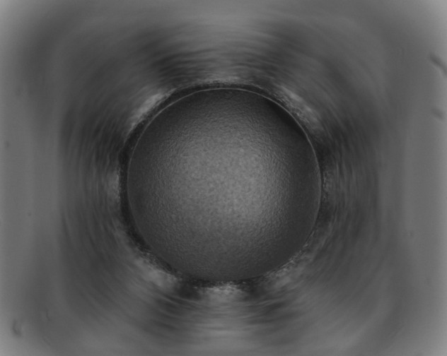 X0000092110112200709121625