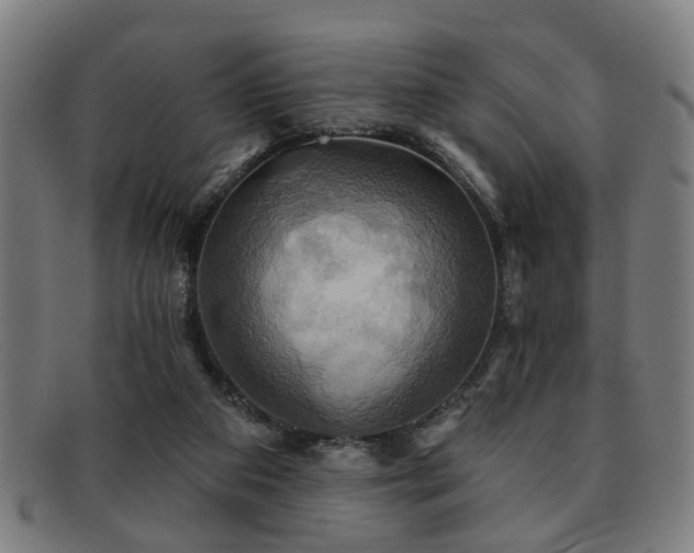 X0000092110113200709121625