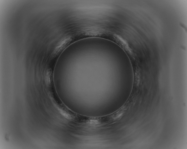 X0000092110114200709121625