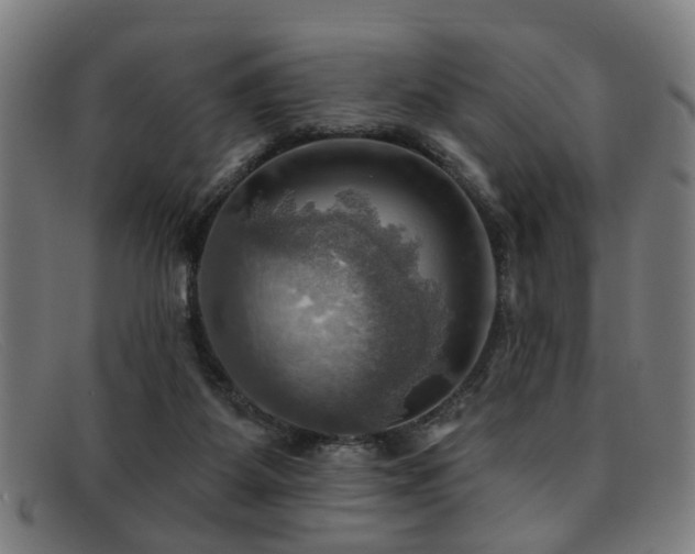 X0000092110115200709121625