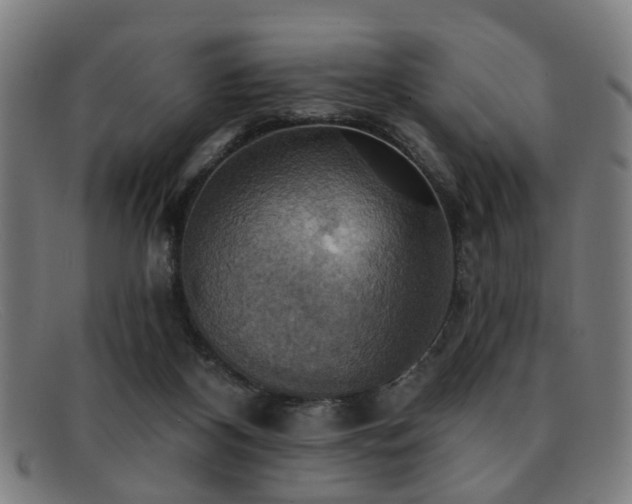 X0000092110116200709121625