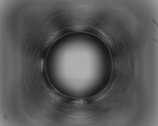 X0000092110118200709121625