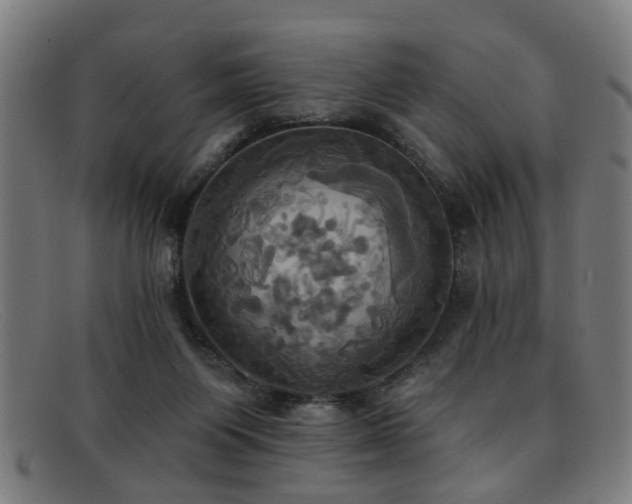 X0000092110119200709121625