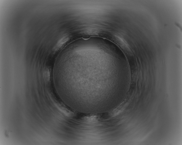 X0000092110120200709121625