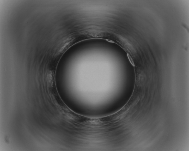 X0000092110121200709121625