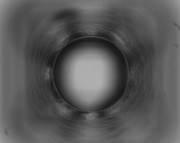 X0000092110122200709121625